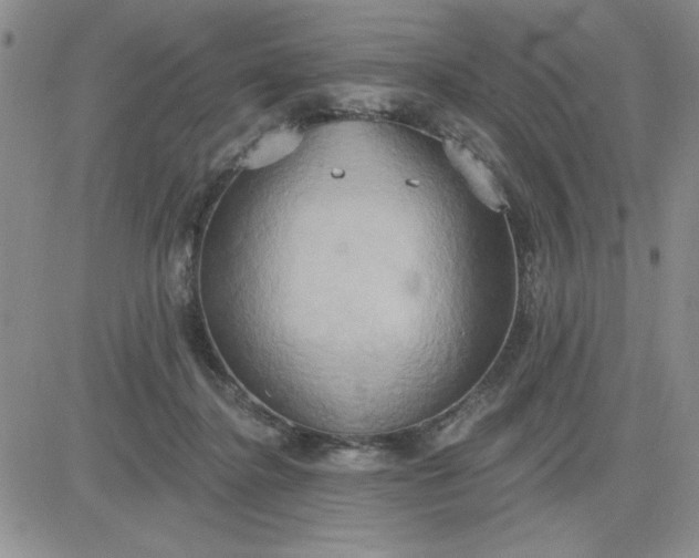 X0000081300364200701251724