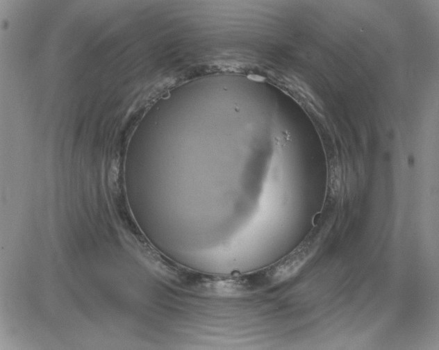 X0000081300365200701251724