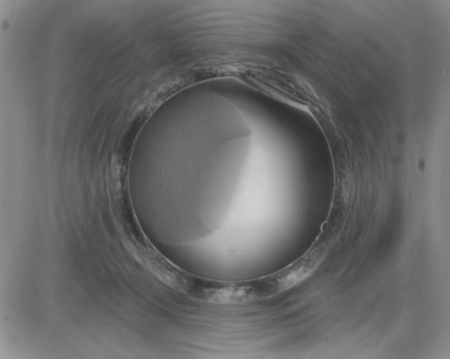 X0000081300366200701251724