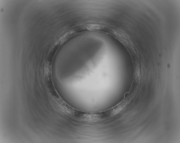 X0000081300367200701251724