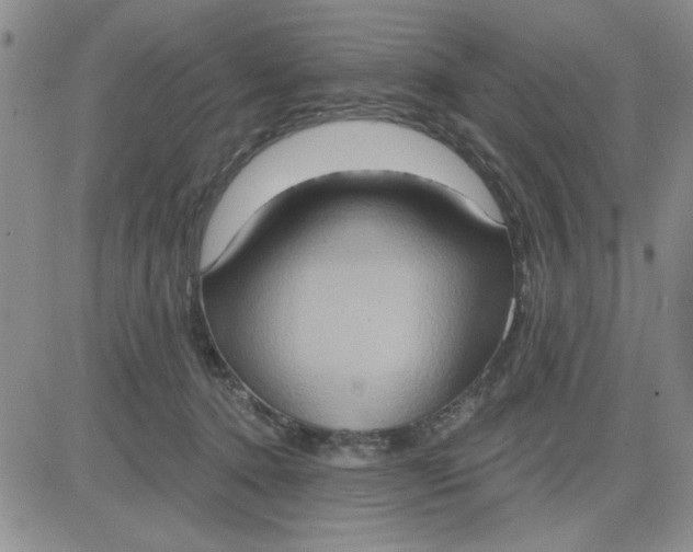 X0000081300368200701251724