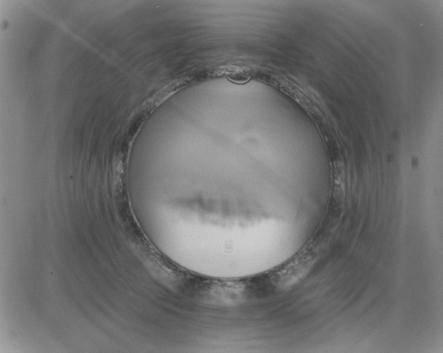 X0000081300369200701251724