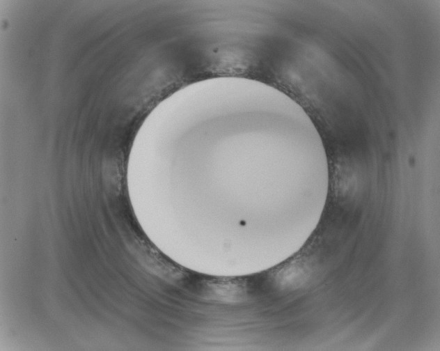 X0000081300370200701251724