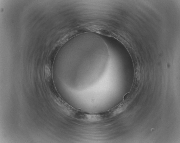 X0000081300371200701251724