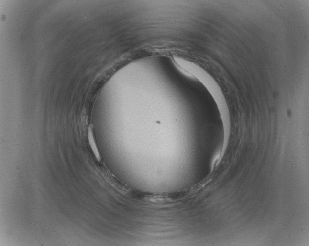 X0000081300372200701251724