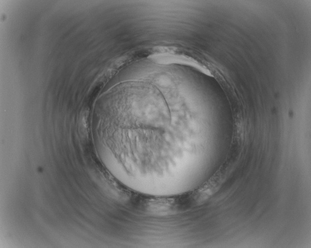 X0000081300373200701251724