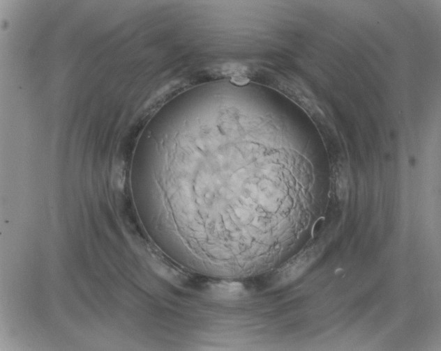 X0000081300374200701251724