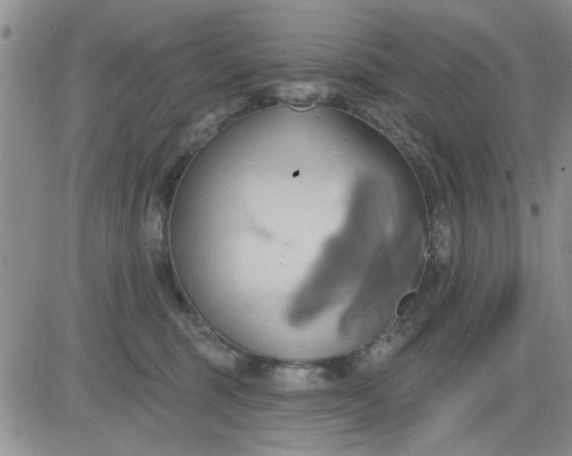 X0000081300375200701251724