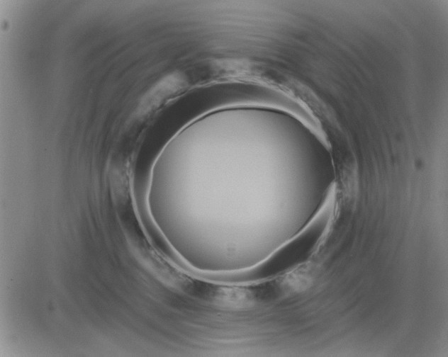 X0000081300376200701251724