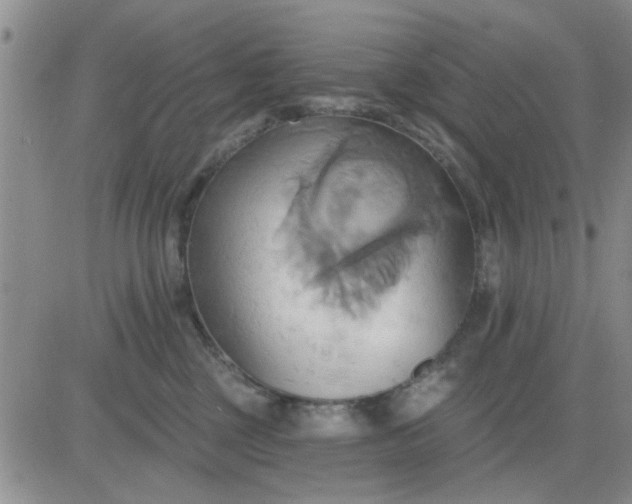 X0000081300377200701251724