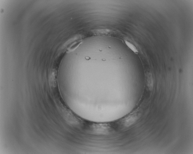 X0000081300378200701251724