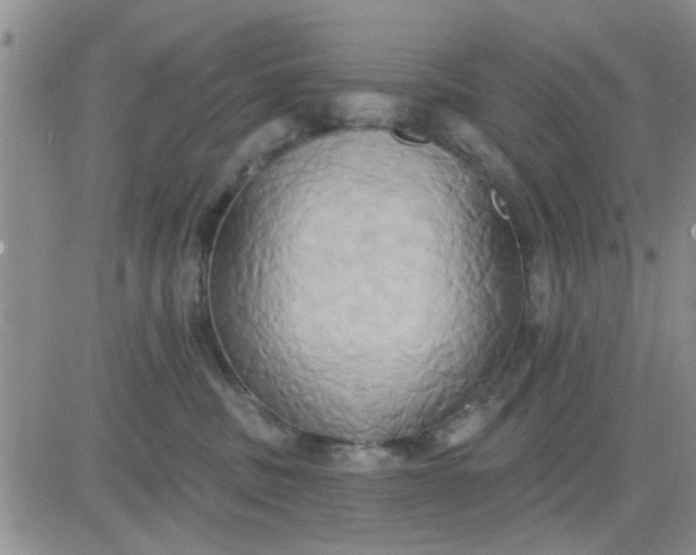 X0000081300379200701251724