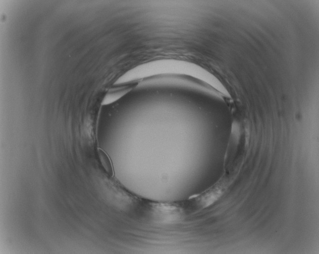 X0000081300380200701251724