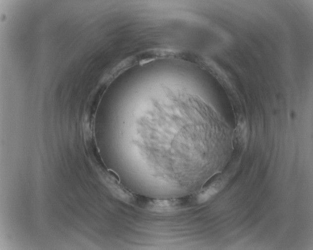 X0000081300381200701251724