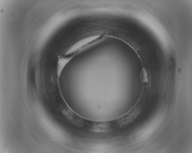 X0000081300382200701251724