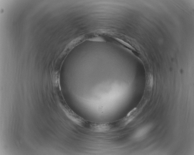 X0000081300383200701251724