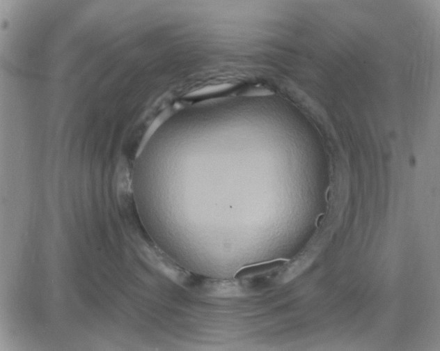 X0000081300384200701251724