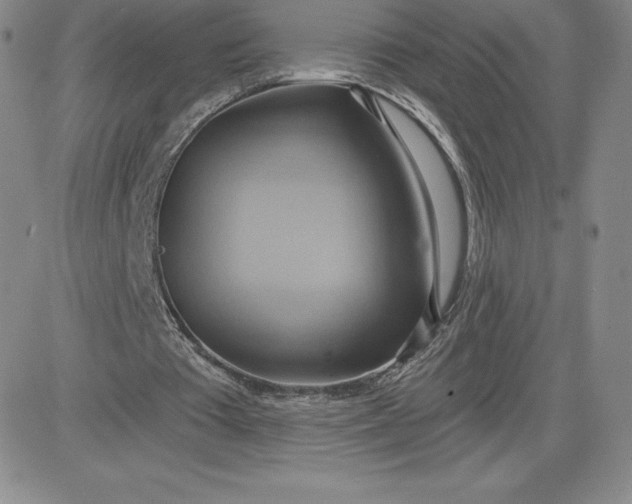 X0000081300385200701251723