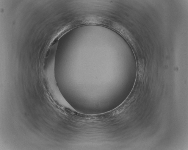 X0000081300386200701251723