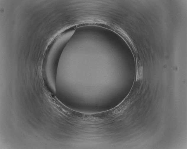 X0000081300387200701251723