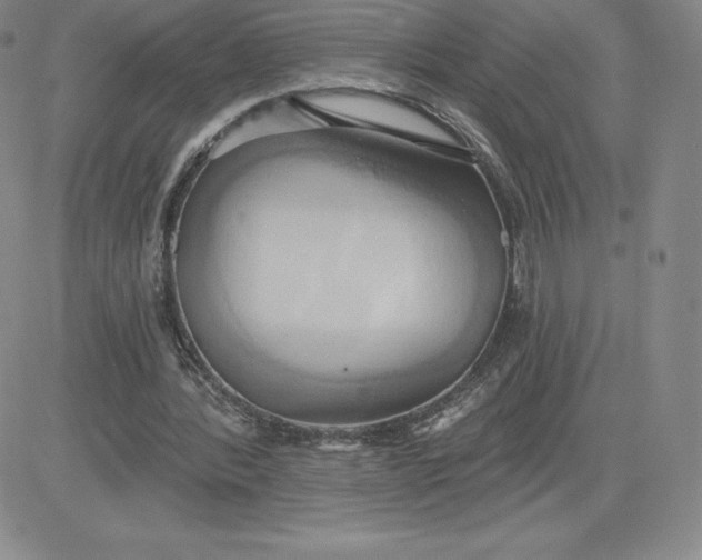 X0000081300388200701251723