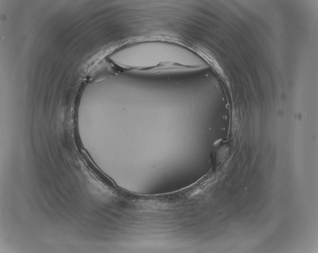 X0000081300389200701251723