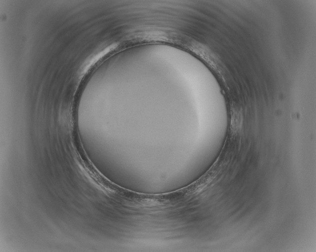 X0000081300390200701251723