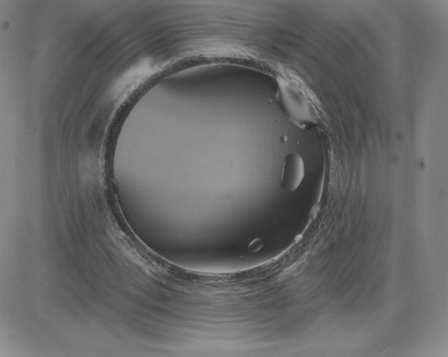 X0000081300391200701251723