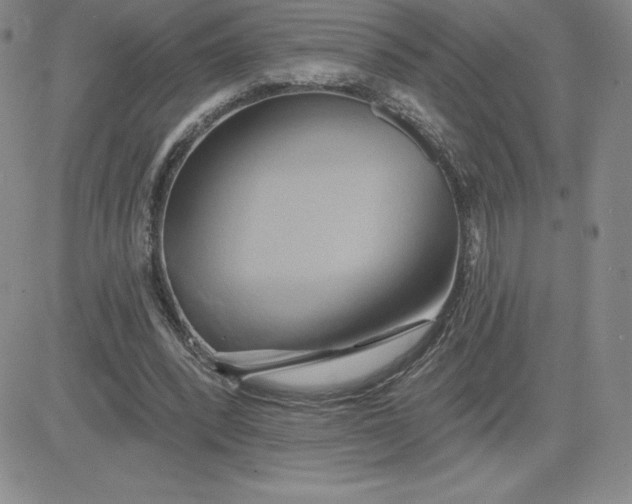 X0000081300392200701251723