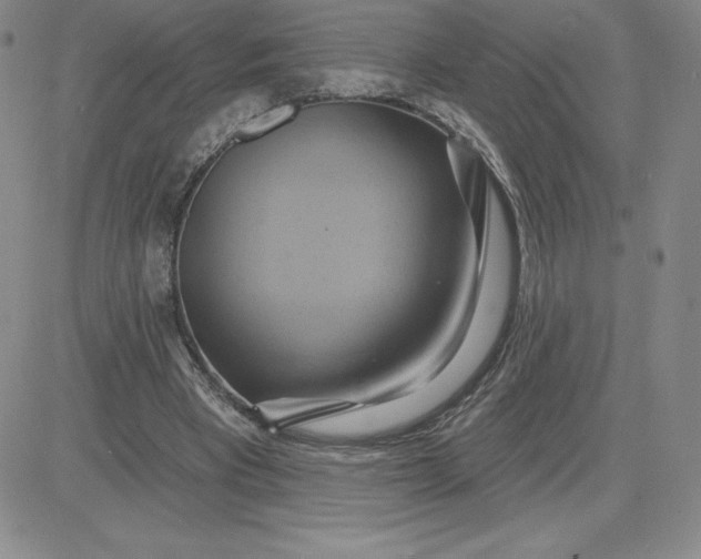 X0000081300393200701251723