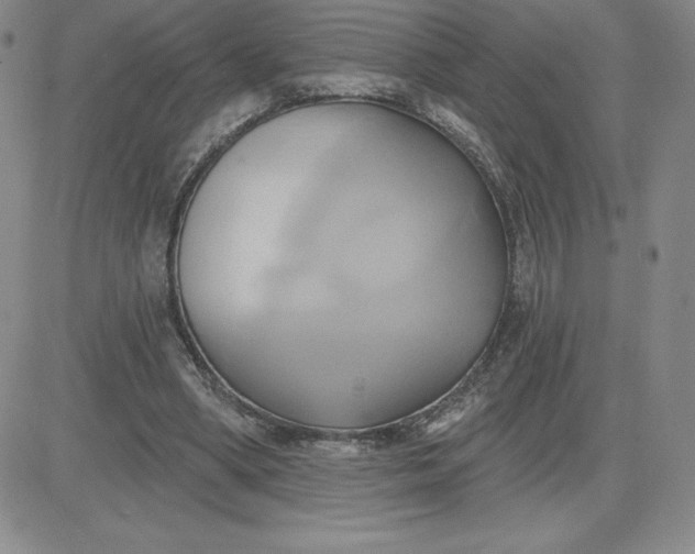 X0000081300394200701251723