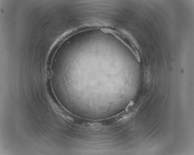 X0000081300395200701251723