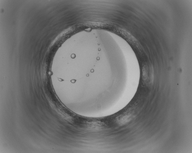 X0000081300396200701251723