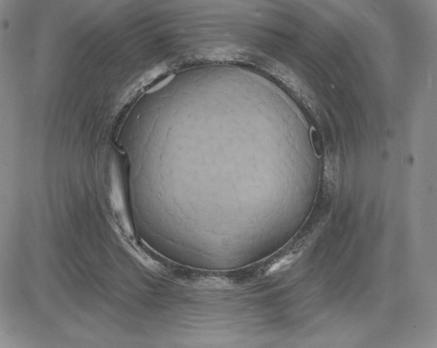 X0000081300397200701251723