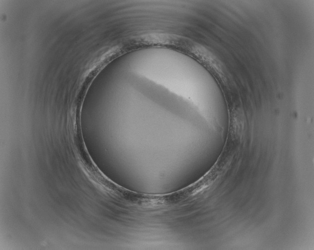 X0000081300398200701251723