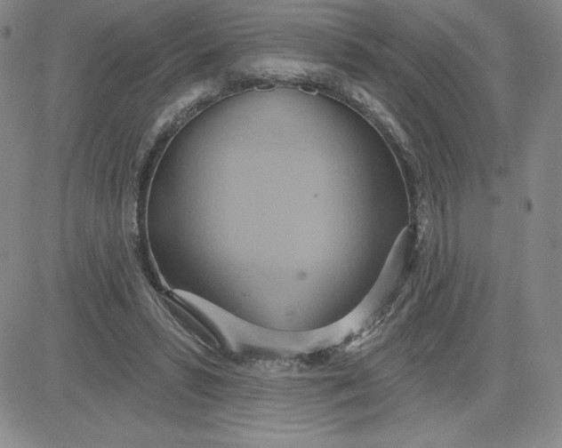 X0000081300399200701251723