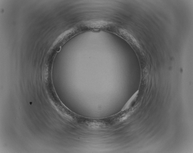 X0000081300400200701251723