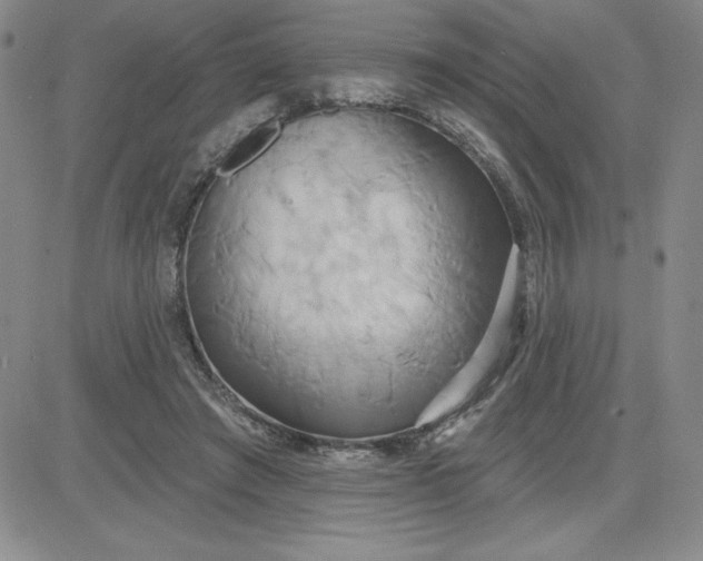 X0000081300401200701251723