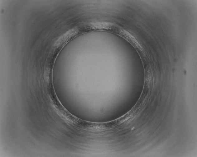 X0000081300402200701251723