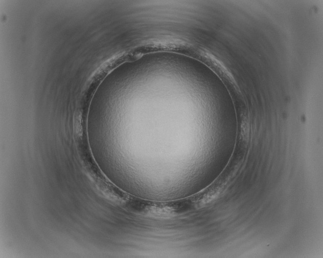 X0000081300403200701251723