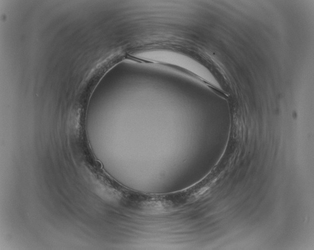 X0000081300404200701251723