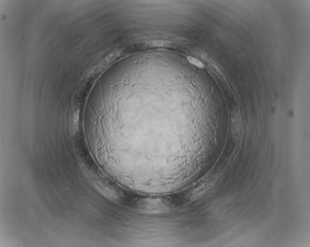 X0000081300406200701251723