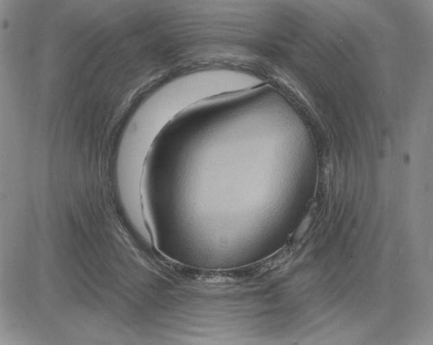 X0000081300407200701251723