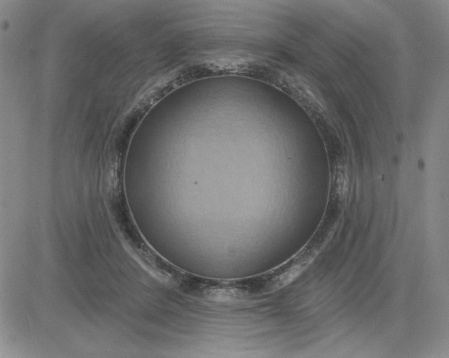 X0000081300408200701251723