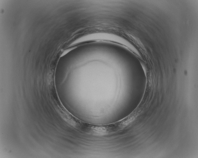 X0000081300409200701251723