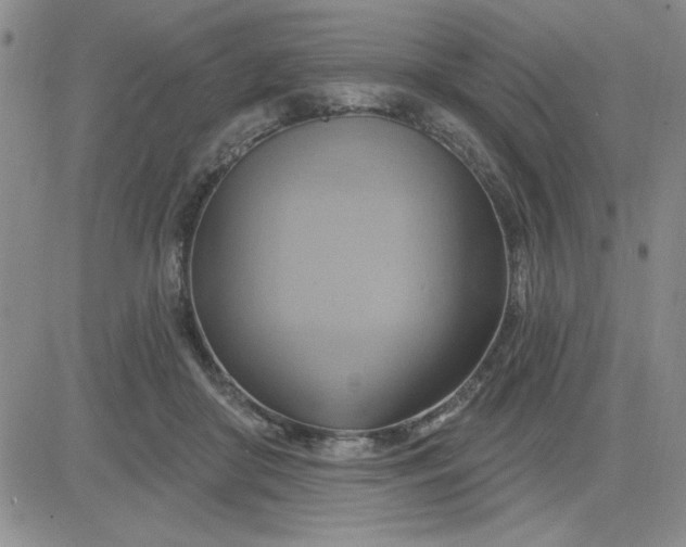 X0000081300410200701251723