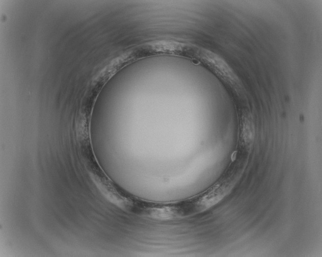 X0000081300411200701251723