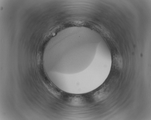 X0000081300412200701251723