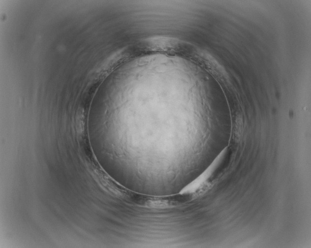 X0000081300413200701251723