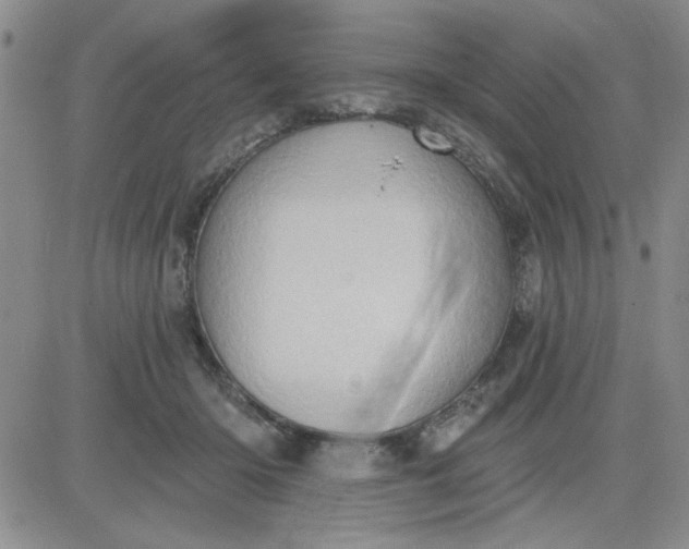 X0000081300414200701251723